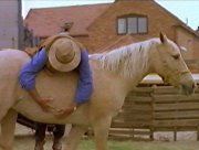 man and horse